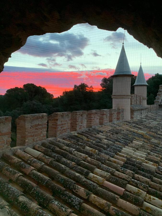 Castillo Con Piscina En Plena Sierra Calderona セゴルベ エクステリア 写真